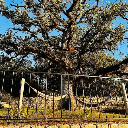 One Bedroom With Private Bathroom And Kitchen * Alcobaça