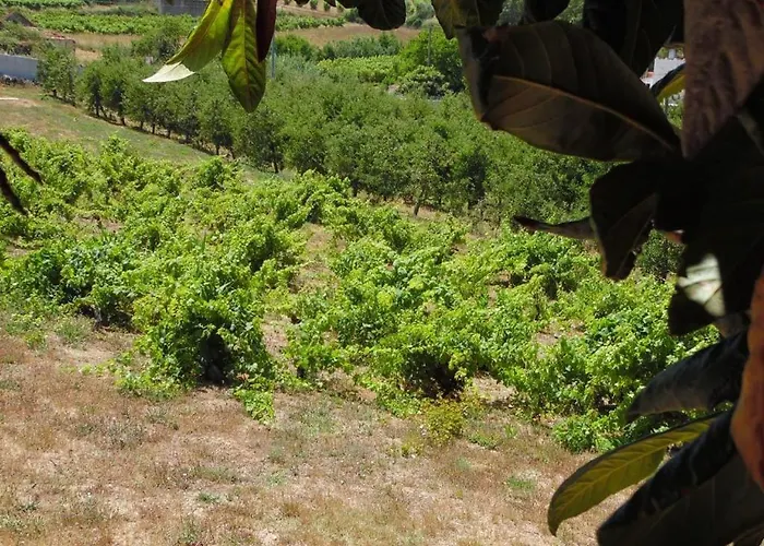 One Bedroom With Private Bathroom And Kitchen 샬레 알코바카