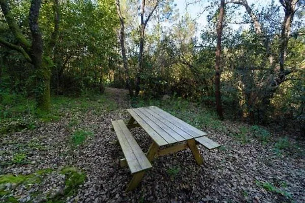 샬레 One Bedroom With Private Bathroom And Kitchen *