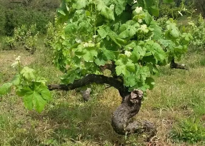 One Bedroom With Private Bathroom And Kitchen Алкобаса